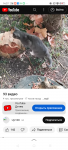Screenshot_2022-11-18-14-37-36-82_1ffb234d33525882661a5a8d47829dc1.png