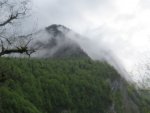 IMG_4232.JPG