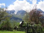 IMG_4270.JPG