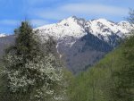 IMG_4363.JPG