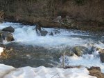 IMG_4403.JPG