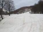 IMG_4446.JPG