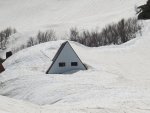 IMG_4497.JPG