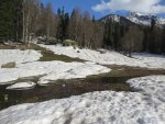 IMG_4571.JPG