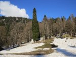 IMG_4588.JPG