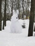 IMG_20230224_111814_ozTLO0373Z.jpeg