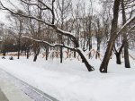 IMG_20230224_170244_riWeq2Bc88.jpeg