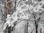 IMG_20230305_124724_8bxTASCZ8S.jpeg