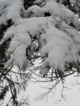 IMG_20230305_124808_zm5ZMylb9G.jpeg