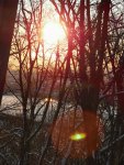 IMG_20230307_171751_agkQMdo46U.jpeg