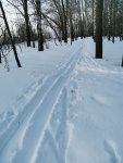 IMG_20230307_174853_ZIFylHuO0B.jpeg