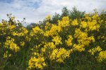 Chedym2022-DSC09633w.jpg