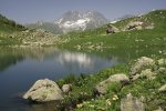 Chedym2022-DSC09855w.jpg