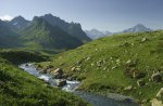 Chedym2022-DSC09896w.jpg