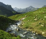Chedym2022-DSC09902w.jpg