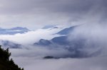 Chedym2022-DSC09973w.jpg