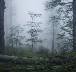Chedym2022-DSC09978w.jpg