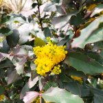 IMG_20230325_103347_resize_35.jpg