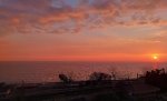 IMG_20230325_183337_resize_47.jpg