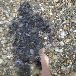 IMG_20230404_105940_resize_5.jpg
