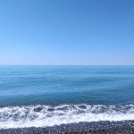 IMG_20230415_112648_resize_23.jpg
