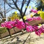 IMG_20230416_193256_resize_66.jpg
