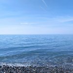 IMG_20230416_114710_resize_62.jpg