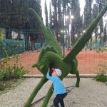 IMG_20230427_181141_resize_18.jpg