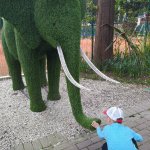 IMG_20230427_181119_resize_33.jpg