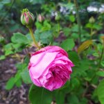 IMG_20230427_182001_resize_24.jpg
