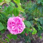 IMG_20230427_181938_resize_88.jpg