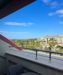 IMG_20230429_093701.jpg