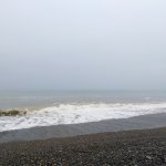 IMG_20230429_182508_resize_1.jpg