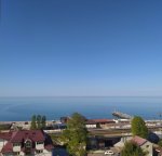 IMG_20230504_084004_resize_20.jpg