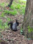 IMG-20230321-WA0010_resize_74.jpg
