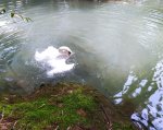 IMG_20230506_163639_resize_81.jpg