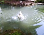 IMG_20230506_163716_resize_3.jpg