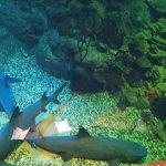 IMG_20230508_114227_resize_4.jpg