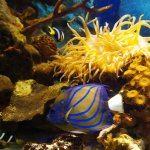 IMG_20230508_114541_resize_36.jpg