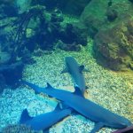 IMG_20230508_114910_resize_80.jpg