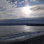 IMG_20230509_172607_resize_5.jpg