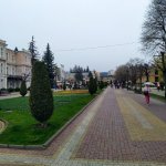 IMG_20230408_104917_resize_73.jpg
