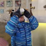 IMG_20230408_114108_resize_31.jpg