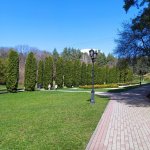 IMG_20230410_111638_resize_74.jpg