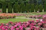 1650275531_6-vsegda-pomnim-com-p-kislovodsk-park-dolina-roz-foto-7_resize_43.jpg