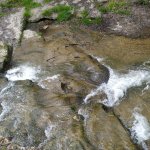 IMG_20230411_105326_resize_37.jpg