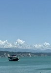 D298FF23-ED8C-4BEF-BAEA-78D26B770700.jpeg