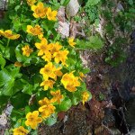 IMG_20230529_202900_744_rjDOiYvV7i.jpeg