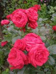 IMG_20230525_180825_1_gsT13Idp2O.jpeg