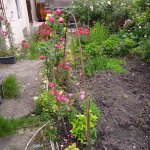 IMG_20230527_192531_328_o9NP62Mg9G.jpeg